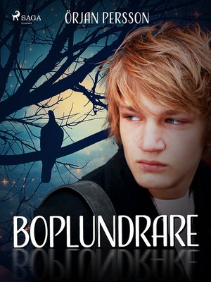 cover image of Boplundrare
